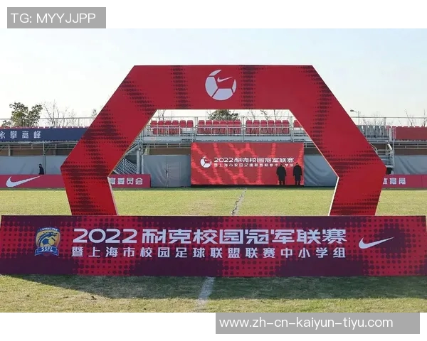 陶伟足球的魅力与发展探索:从青训到职业联赛的全景分析